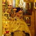 DSC03658 683x1024